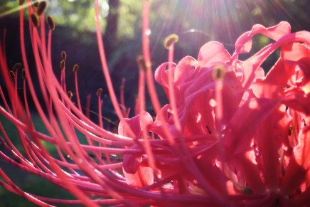 One huckle, please. Sunny side&nbsp;up.