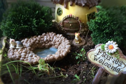 Fairies Welcome Here