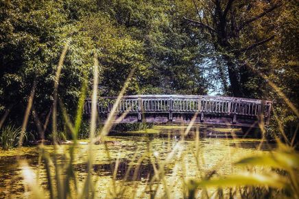 Green: A Spiritual&nbsp;Journey