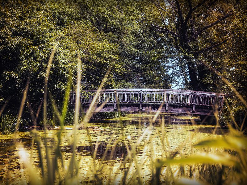 Photo courtesy Gratisography